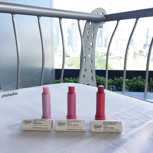 <div class="photoCaption">Have you check out my blog post on Kiehl's Butterstick Lip Treatment?
❤️Which is your favourite shade?
Swatches up on my blog post too! 😘
➡️www.tebisha.com link on my bio ⬆️
#butterstick #butterstickliptreatment #kiehls #KiehlsSG #KiehlsButterstick #liptreatment #MadeMeMelt #lipbalm #skincare #lipcare #beauty #makeup #clozette</div>
