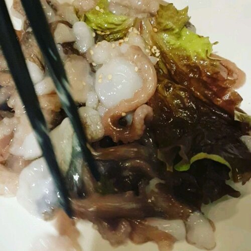<div class="photoCaption">When in Korea, they say these food is a must try. I must say it's really amusing to try the live octopus but I wouldn't try it again because I don't like the taste 😝 I would love to have the bbq meat a million times though!! 😋😍 Bring me back to Seoul please!
.
.
#clozettebloggerbabe #clozette #potd #iviatravel</div>