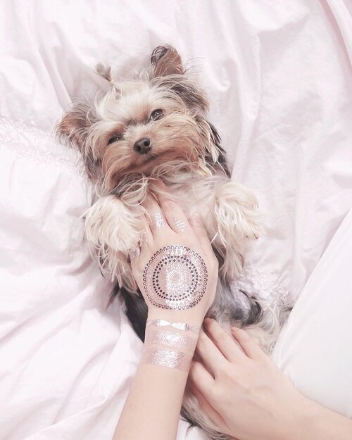 <div class="photoCaption">Hello from baby Luna & this beautiful metallic rosegold @tat.queen tattoo. Had fun decorating the tattoo on my hand *art attack moment*. It's a lot prettier in person ♥️ #tatqueen</div>