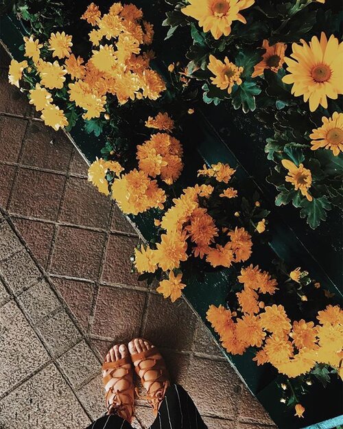 <div class="photoCaption">Hoping @f21philippines opens more branches here in the South. 🌻🌻🌻 #f21xme #f21 #clozette #fromwhereistand</div>