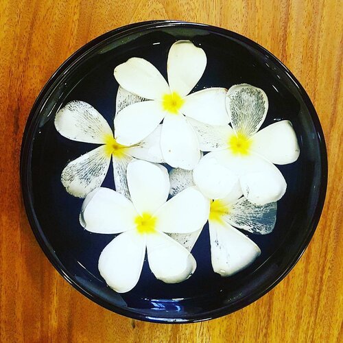 <div class="photoCaption">#TGIF folks! #throwback to last week in #SiemReap where this #fragrant bowl of #frangipani was used to #welcome us! Upon closer inspection, the #scent reminds me a little of #honey
#🐝
🐝
🌻
🐝
🌻
#flowers #instatravel #instapic #instaphoto #travelgram #travel #flowerstagram #foliage #clozette #livelifelove #eatpraylove #cambodia #luxury #hotel #holiday #vacation #white #florals</div>
