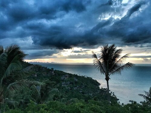 <div class="photoCaption">You know it's #mondayblues when you're admiring the picture and not in it..
...
Holiday is over. #backtoreality
.
.
#fskohsamui #fourseasons #luxurytravel #kohsamui #thailand #divagoestothailand #luxuryhotel #travelblogger #blogger #clozette #clozettetravel #calmbeforethestorm #palmtrees #lifeisabeach #sunset #viewfrommywindow #uniquehotels</div>