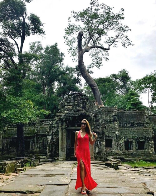<div class="photoCaption">No trip to #SiemReap would be complete without a quick tour at #Taprohm temple, where the movie "Tomb Raider" was filmed. 📸 @jupiterkitty_ #travel #travelblogger #travelwithCrystal #ootd #clozette</div>