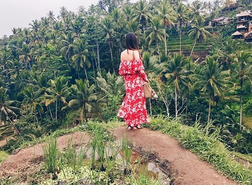 <div class="photoCaption">How beautiful are the rice paddy fields in Bali 🌿🌿🌿wearing @steele__
•
#ilovebali #balistyle #steelethelabel #fashiongram #fashionlook #fashionstyle #fashiondaily #ootd #motd #beauty #beautygram #wiw #wiwt #whatiwore #clozette #mum #mumlife #mumstyle</div>
