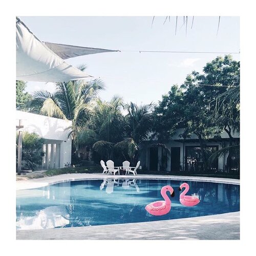 <div class="photoCaption">Just how cute are these flamingo cup holders from @basicstuffmnl don't forget to hydrate everywhere, anywhere!
#annefermano #igdaily #vscocam #vsco #vscoph #instadaily #instagram #blog #blogph #bloggerph #bblogger #fblogger #Clozette #cupholders</div>