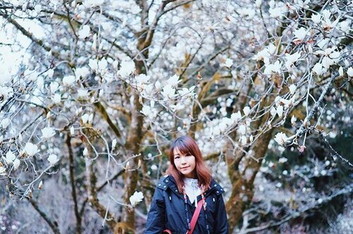 <div class="photoCaption">Taiwan, Spring, Magnolia, Magical. 🙃🙃
@simontey
#clairesimontravel #perth #autumn
#clozette #explore #igdaily #clouds #sgtravelblog #today #portrait #vscocam #landscape #photography #travel #sonyimages #traveller #nature #adventure #wander #art #mood #vibes #beautiful #wanderlust #life #travelblogger #exploretocreate #me #magnolia #fashion</div>