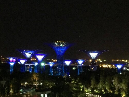 <div class="photoCaption">How beautiful is this night view of Singapore's Gardens By the Bay, captured from my hotel room at night?
.
.
.
.
.
.
.
.
.
.
#details #mycasualstyle #abmhappylife #styleguide #acolorstory #styleinfluencer #styleinspiration #ootdenvy #bagaddictsanon #fashionbloggers #fashiondiaries #fashiongram #fashionpost #ootdwatch #wiwt #fashiongirl #thatsdarling #ootdshare #abmlifeiscolorful #whatiwore #clozette #myunicornlife #currentlywearing #effortlessstyle #todayiwore #flashesofdelight #pursuepretty #ootdfash #outfitpost</div>