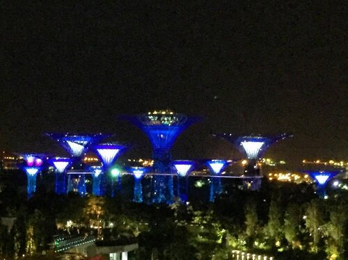 <div class="photoCaption">How beautiful is this night view of Singapore's Gardens By the Bay, captured from my hotel room at night?
.
.
.
.
.
.
.
.
.
.
#details #mycasualstyle #abmhappylife #styleguide #acolorstory #styleinfluencer #styleinspiration #ootdenvy #aboutalook #fashionbloggers #fashiondiaries #fashiongram #fashionpost #ootdwatch #wiwt #fashiongirl #thatsdarling #ootdshare #abmlifeiscolorful #whatiwore #clozette #myunicornlife #currentlywearing #effortlessstyle #todayiwore #flashesofdelight #pursuepretty #ootdfash #outfitpost</div>