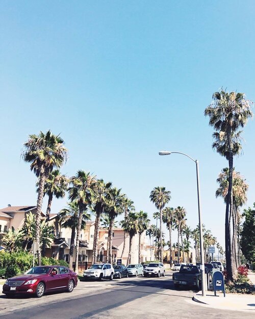 <div class="photoCaption">I'm just obsess with the feeling of being anonymous in a city I've never before. Just a morning thought, good morning California 🌴#365Travels #365GoesToCalifornia #Clozette</div>